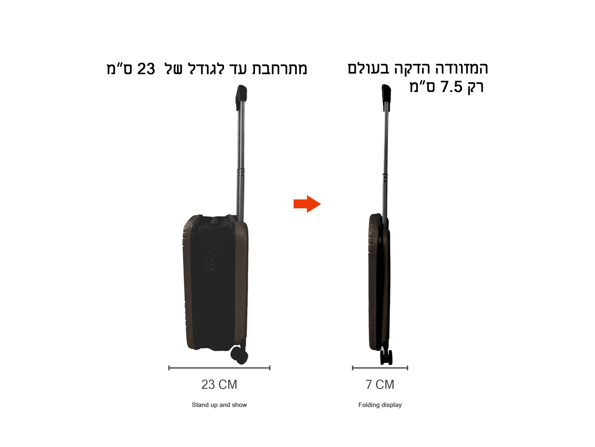 מזוודה מתקפלת חום לואיס