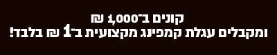עיצוב הבית