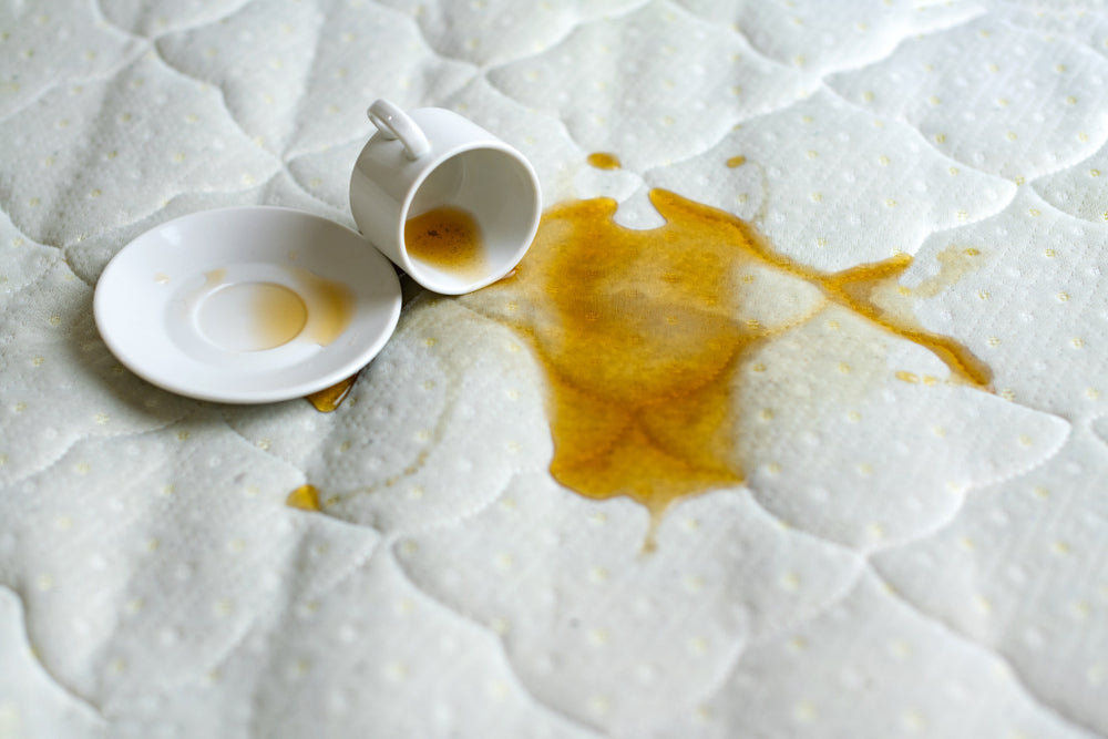 מגן מיזרן זוגי מידה 140-200