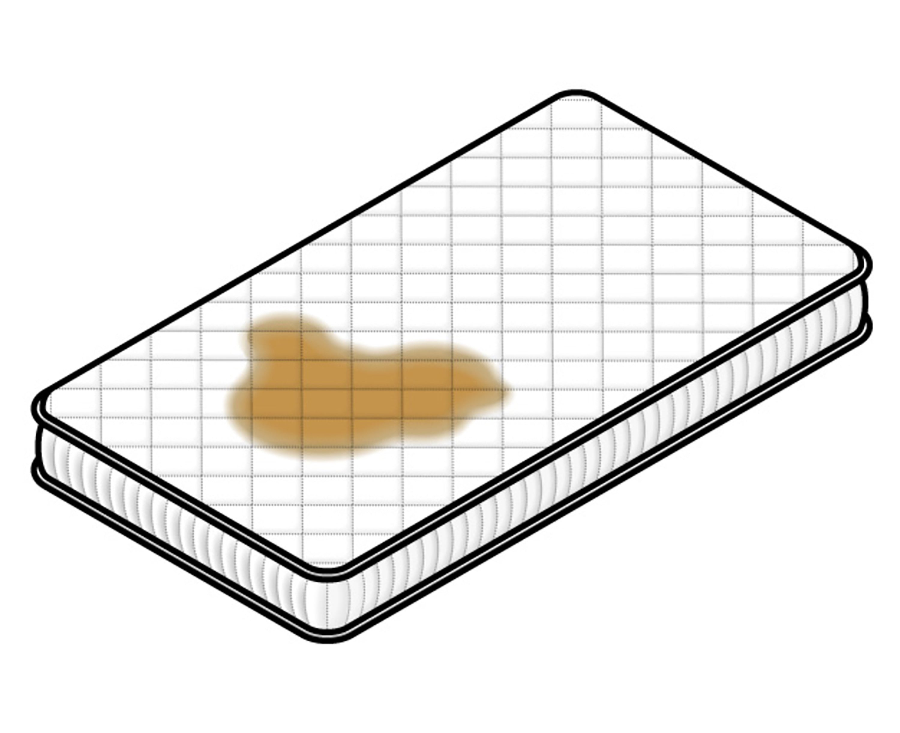 מגן כרית  זוג מידה 50-70